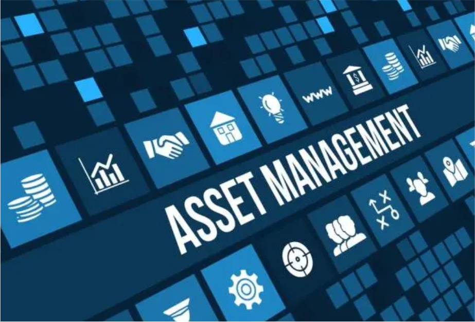 Asset Management Company in India